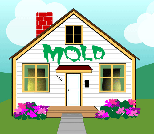 House_mold