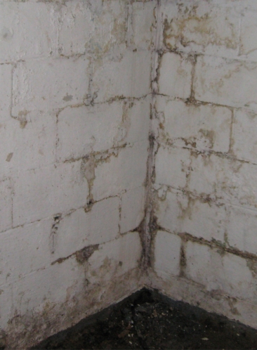 Guardian Basement Waterproofing Plus Inc.
