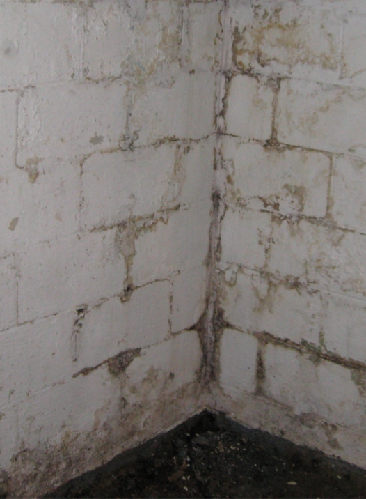 Guardian Basement Waterproofing Plus Inc.